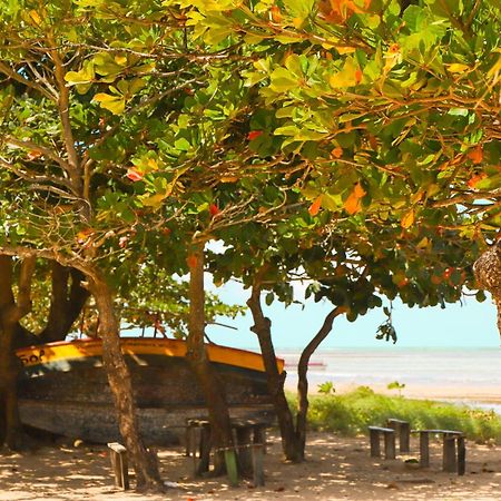 Pousada Venezia Tropicale Japaratinga Exterior foto